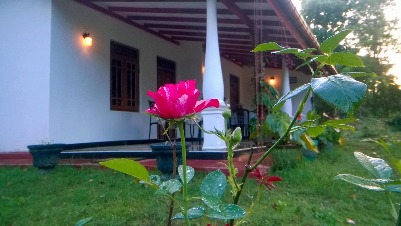 Danara Homestay سيغيرِيا المظهر الخارجي الصورة